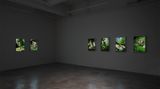 Contemporary art exhibition, Park Chan-kyong, Citizen's Forest at Tina Kim Gallery, New York, USA