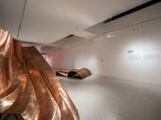 'Too many people have been claiming whatever stupidity on what freedom might or might not be.' : Danh Vo solo exhibition in Winsing Art Place