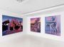 Contemporary art exhibition, Emma Stern, Boy, It Feels Good To Be A Cowgirl at Almine Rech, Rue de Turenne, Paris, France