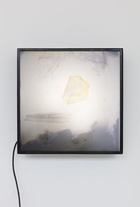 Polariscop 8 by Bruno Munari contemporary artwork installation