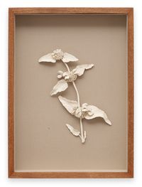 Phlomis russeliana by Kaori Tatebayashi contemporary artwork sculpture