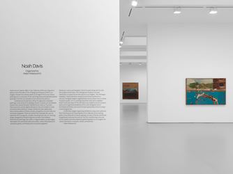 Exhibition view: Noah Davis, David Zwirner, 19th Street, New York (16 January–22 February 2020). Courtesy The Estate of Noah Davis and David Zwirner.