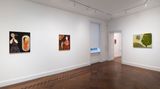 Contemporary art exhibition, Samira Abbassy, Psychic Instrusion at Richard Saltoun Gallery, New York, United States