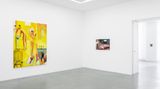 Contemporary art exhibition, Danielle Orchard, PAGE TURNER at Perrotin, Paris, France