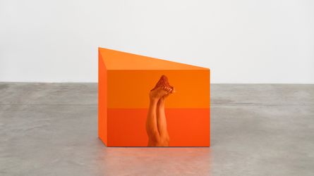 Contemporary art exhibition, Rodrigo Cass, libera abstrahere at Fortes D'Aloia & Gabriel, São Paulo, Brazil