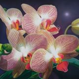 Yang Xun contemporary artist