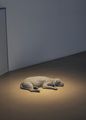 Dog by Hans Op de Beeck contemporary artwork 2