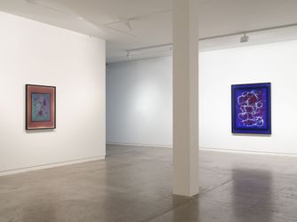 Exhibition View: Justine Varga, End of Violet, Two Rooms, Auckland (7 June–13 July 2024). Courtesy Two Rooms.