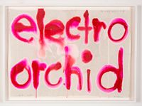 electro orchid by Del Kathryn Barton contemporary artwork works on paper