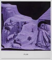 The Purple Series: Plum by John Baldessari contemporary artwork mixed media