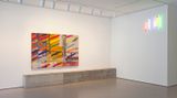 Contemporary art exhibition, Shezad Dawood, Anarchitecture at Jane Lombard Gallery, New York, USA