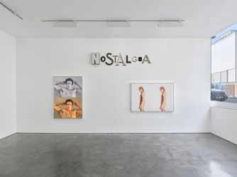 Courtesy Lisson Gallery
