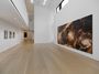 Contemporary art exhibition, Teresita Fernández, Maelstrom at Lehmann Maupin, 501 West 24th Street, New York, United States