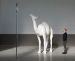 Camel (Albino) Contemplating Needle (Large) by John Baldessari contemporary artwork 2