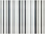 Stripes Nr. 102+103 by Cornelia Thomsen contemporary artwork 1