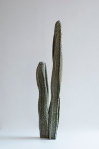 Cactoid I by An Te Liu contemporary artwork sculpture