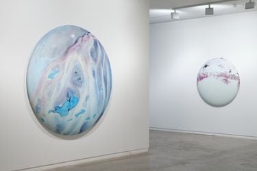 Exhibition view: Elizabeth Thomson, Lateral Theories, Two Rooms, Auckland (23 April–28 May 2021). Courtesy Two Rooms.