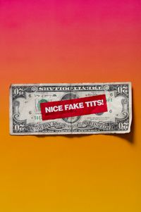 Nice Fake Tits by Judy Darragh contemporary artwork print