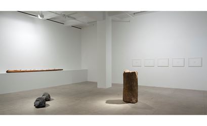 Exhibition view: Giuseppe Penone, A Question of Identity, Marian Goodman Gallery, New York (14 November–22 December 2017). Courtesy Marian Goodman Gallery.