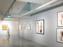 Contemporary art exhibition, Group Exhibition, Shaping Visions at STPI - Creative Workshop & Gallery, Singapore