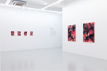 Exhibition view: André Hemer, Images Cast by the Sun, Yavuz Gallery, Singapore (22 November–22 December 2019). Courtesy the artist and Yavuz Gallery.