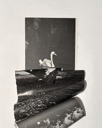 Swan Lake, From the series Mountain by Lucia Tallova contemporary artwork painting, works on paper, photography, print