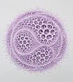 Vestige (moving-violet) by Kim Jaeil contemporary artwork 1
