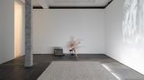 Contemporary art exhibition, Adrian Ganea, Ghost Trade at Galeria Plan B, Berlin, Germany