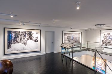 Exhibition view: Group Exhibition, Winter Contemporary, Maddox Gallery, Gstaad (16 December–23 January 2022). Courtesy Maddox Gallery.