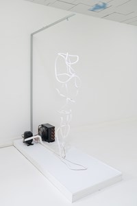 Decoy by Maya Kramer contemporary artwork installation