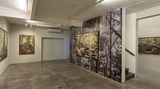 Contemporary art exhibition, Cássio Vasconcellos, Dryads and Fauns at Galeria Nara Roesler, Rio de Janeiro, Brazil