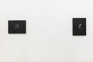 Exhibition View: Anja Ronacher, Last Image, Krinzinger Schottenfeld, Vienna (23 May–29 June 2024). Courtesy the artist and Galerie Krinzinger.