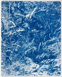 Jungle by Danie Mellor contemporary artwork drawing