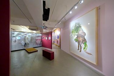 Exhibition view: Group Exhibition, An Opera for Animals, Para Site, Hong Kong (22 March–9 June 2019). Courtesy Para Site. Photo: Eddie Lam, Image Art Studio. 