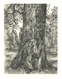 After Constable's Elm by Lucian Freud contemporary artwork print