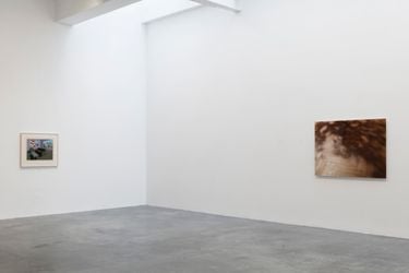 Exhibition view: Group Exhibition, Home Life, Matthew Marks Gallery, 523 West 24th Street, New York. (29 January–20 March 2021). Courtesy Matthew Marks Gallery.