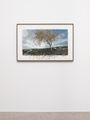 Backwards Growing Tree (Italian Winter) by David Claerbout contemporary artwork 2
