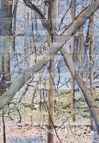 Critical Forests 1 by Imants Tillers contemporary artwork painting
