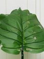 Alocasia Odora (40% chance of rain) by Tania Pérez Córdova contemporary artwork 2