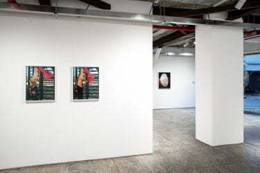 Exhibition view: Torbjørn Rødland, Metal Balm, Galerie Eva Presenhuber, Taxa Seoul (18 March–28 April 2023). Courtesy Galerie Eva Presenhuber.