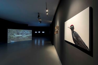 Exhibition view: Elmas Deniz, Three Hues of Water, Zilberman Gallery, Istanbul (14 December 2019–21 February 2020). Courtesy Zilberman Gallery.