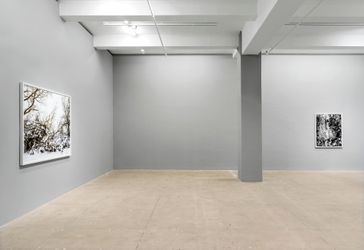 Exhibition view: Thomas Struth, Marian Goodman Gallery, New York (15 March–23 April 2022). Courtesy Marian Goodman Gallery.