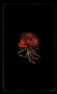 Infinite Herbarium Morphosis #3 by Caroline Rothwell contemporary artwork moving image