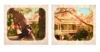Plantation (Diptych No. 11) by Tracey Moffatt contemporary artwork photography