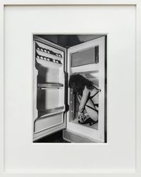 Refrigerator by Jimmy DeSana contemporary artwork mixed media