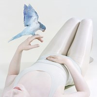 Blue Bird by Petrina Hicks contemporary artwork print