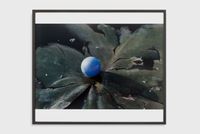 Pupille (Eye ball) by Lothar Baumgarten contemporary artwork photography, print