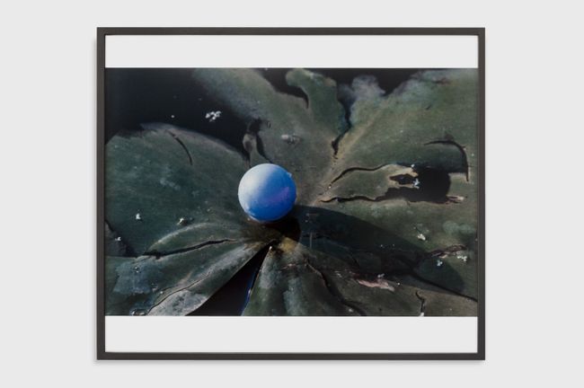 Pupille (Eye ball) by Lothar Baumgarten contemporary artwork