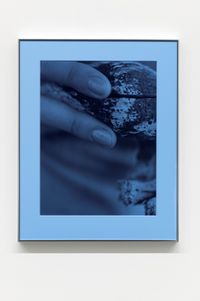 Pacific Driftwood (Blue Filter) by Josephine Pryde contemporary artwork print