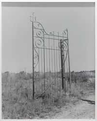 Untitled (Gate) by Harry Culy contemporary artwork photography, print